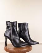 Bota