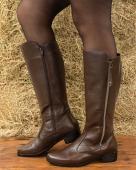 Bota
