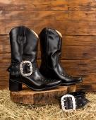 Bota